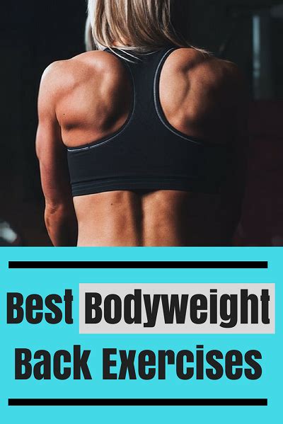 Bodyweight Back Exercises Back Exercises Good Back Workouts No