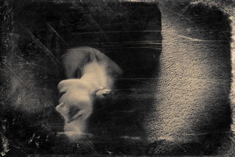 Wallpaper Cat Portrait Dark Abstract Surreal Nikon