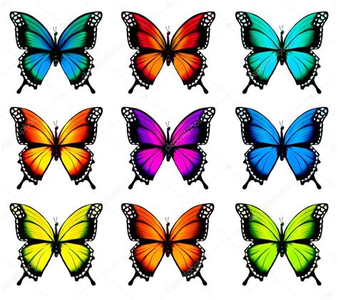Imagem Relacionada Colorful Butterflies Butterflies Vector