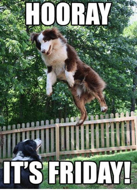 The arrival of party times! 25+ Best Memes About Hooray Its Friday | Hooray Its Friday Memes