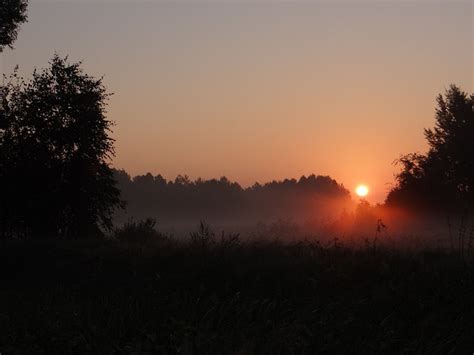 Dawn The Sun Fog Free Photo On Pixabay Pixabay