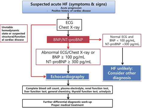 Diagnostic Approach In Patient Suspicious Acute Heart Failure Ecg