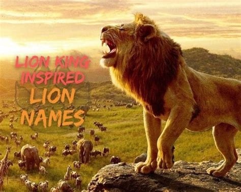 20 Lion King Names Best Lion Names Inspired By The Lion King