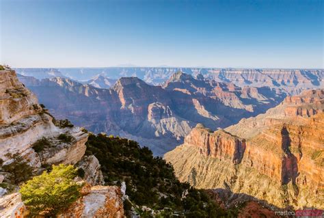 Man Standing On The Edge Grand Canyon Usa Royalty Free Image