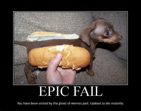 25 Most Epic Fails From Around The World