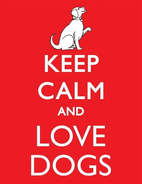 Keep Calm And Love Dogs Glossy Poster Picture Photo Carry On Puppy