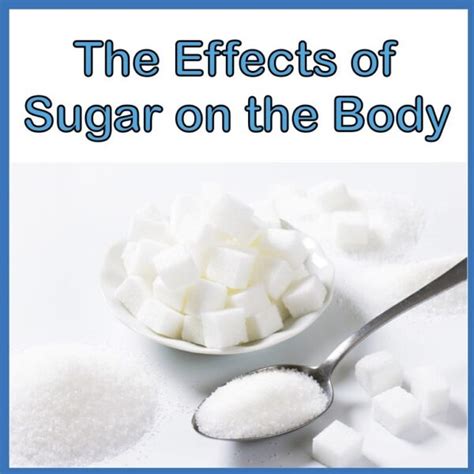 The Effects Of Sugar On The Human Body Science And Steam Team