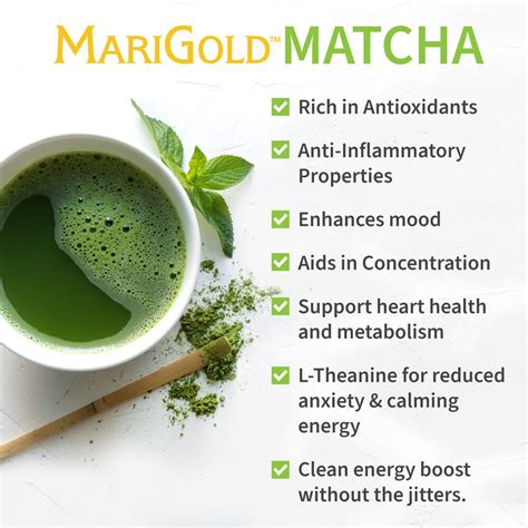 Matcha Green Tea Marigold Foods