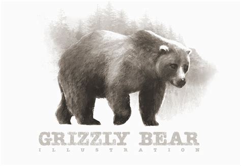 Grizzly Bear 2 Illustration Illustrations ~ Creative Market