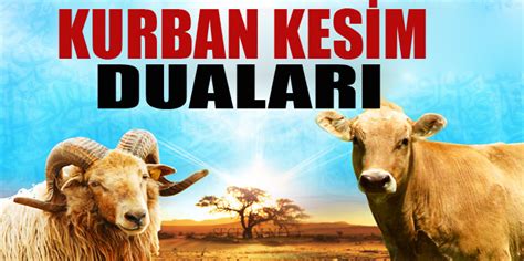 Check spelling or type a new query. Kurban Kesimi Duası ve Okunuşu - Secdem / Bir Dünya İçerik