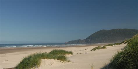 Maybe you would like to learn more about one of these? Nehalem Bay State Park Campground | Outdoor Project