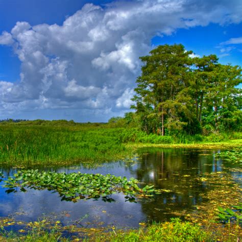 The Top 7 Things To Do In Florida For Nature Lovers In 2023 Be
