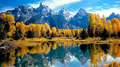 Mountain landscape. Yellow trees reflected in the lake ...