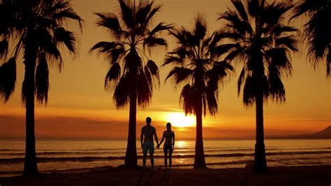 Couples Walk On Beach At Sunset By Lifeguard Stand Under Palm Tree