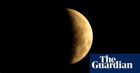 Lunar Eclipse Sees Crowds Come Out With Their Telescopes Science