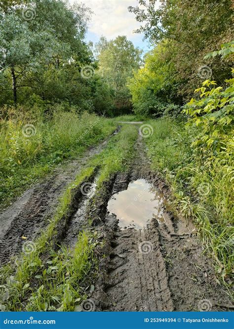 Muddy Road With Puddles In The Forest Outside The Village Stock Photo