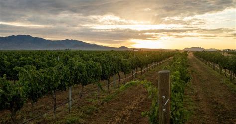 10 Best Sedona Wineries In The Verde Valley Of Sedona
