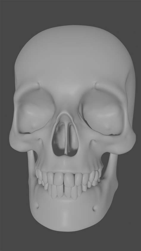 Human Skull Model Turbosquid 1518971