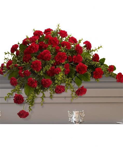 We did not find results for: Red Carnation Casket Spray in Albuquerque, NM - Peoples ...