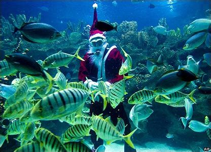 There is great potential for resort development malaysia foreign ownership foreign buyers in malaysia are restricted on the type of real estate they can buy. Malaysia Taxi Executive Services: Aquarium @ Kuala Lumpur