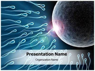 Powerpoint Templates Reproductive System