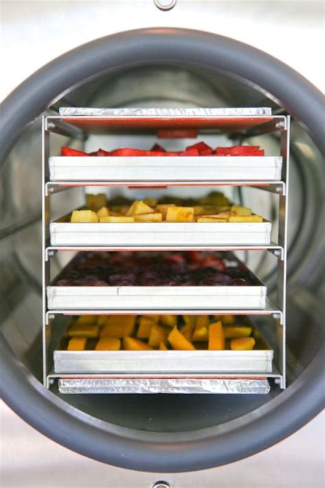 Harvest Right How To Freeze Dry Food At Home Freeze Drying Food