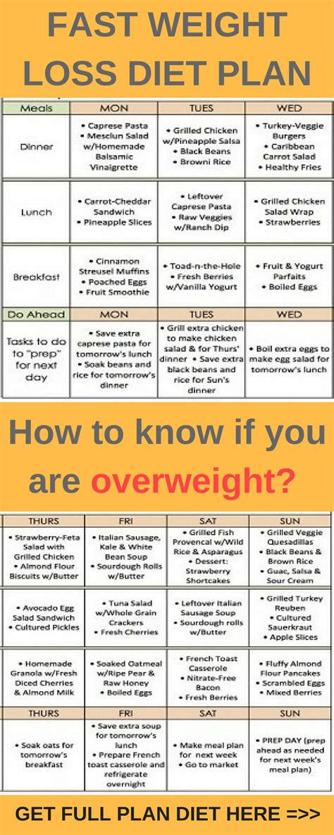 15 Quick Weight Loss Program Ideas Weight Loss