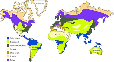 Where Are Earths Most Diverse And Productive Biomes Located