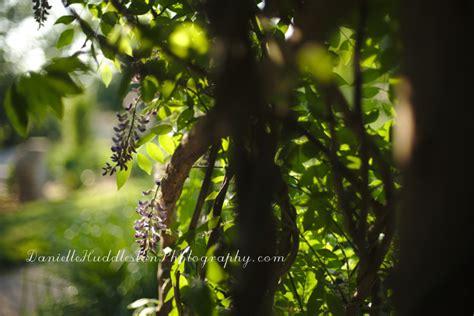 Maybe you would like to learn more about one of these? OSU Botanic Garden ~Stillwater, OK | Danielle Huddleston ...