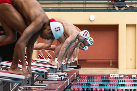 Mens Swim And Dive Earns Eighth Place Finish At Ncaas