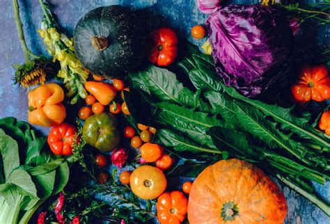 Healthy Food Habits For Autumn Triyoga