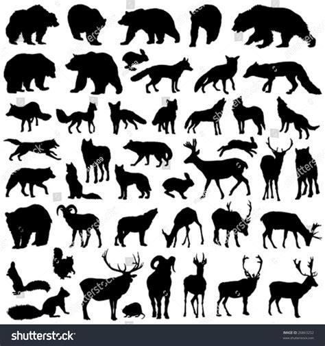 Big Vector Collection Of Forest Animals Silhouette 26863252