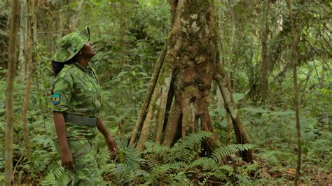 Watch Unsung Heroes Season 1 Streaming Online | Showmax