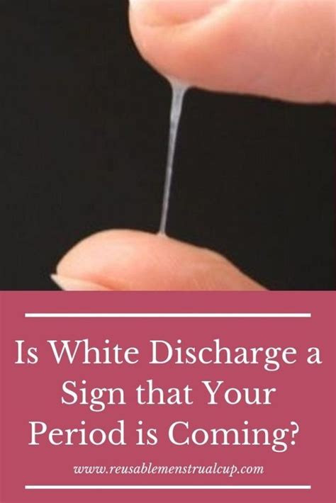 is white discharge a sign that my period is coming you can find out all the details about milky