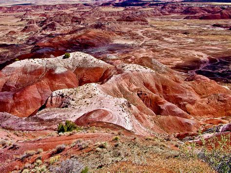 Painted Desert Rim Trail Petrified Forest National Park Arizona