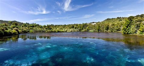 Te Waikoropupu Springs In New Zealand Clearest Fresh Water In The