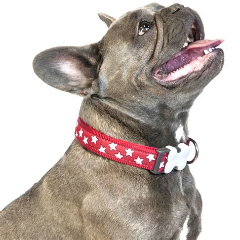 Public lists mars petcare is a pet care providers and is made up of over 50 brands who serve the nutrition and health needs of dogs, cats, horses, fish and birds every day. Red Dingo Star Dog Collar - Dapper Pets