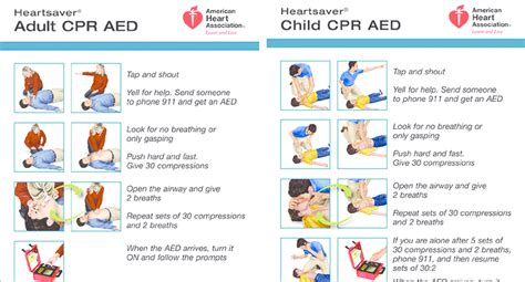 A Cardiopulmonary Resuscitation Cpr For Adult B Cpr For Child B