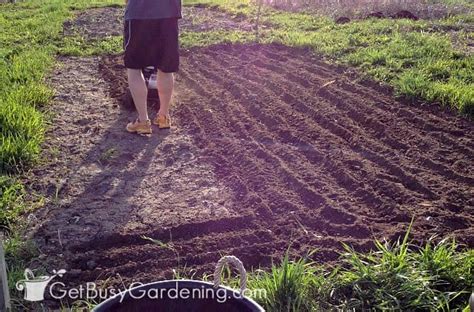 Once you have decided that, you will need to measure out the dimensions and stick a stake in the ground at the four corner points. How To Prepare A Garden Bed For Planting Vegetables - Get ...