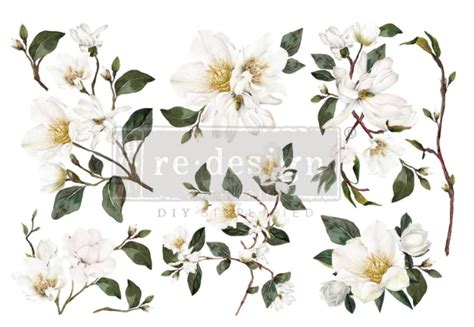 White Magnolia Redesign With Prima Decor Small Transfer Dove And Arrow