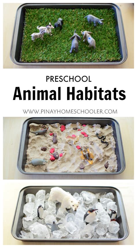 Preschool Animal Habitats using Sensorial Materials | Animal habitats