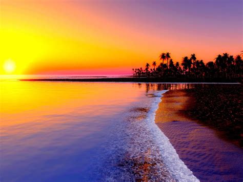 Sea Palm Tree Beach Colorful Sky Sunset Images Summer Hd
