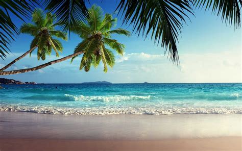 Free Download Tropical Beach Landscape Wallpapers Top