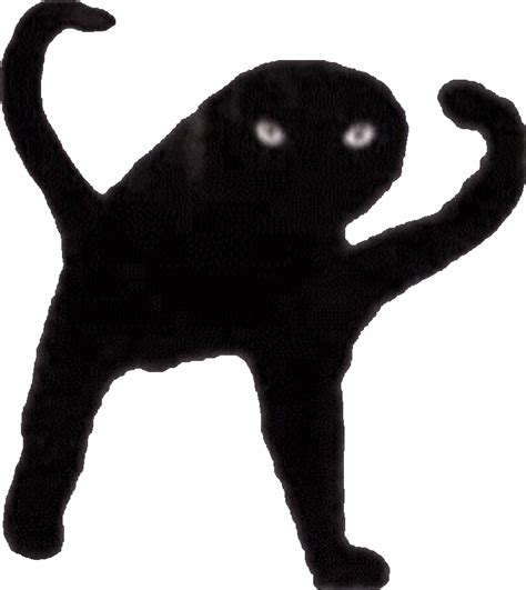 Cursed Cat Blank Template Imgflip