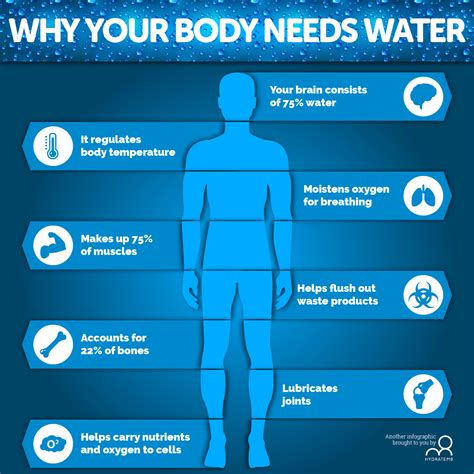 Why Your Body Needs Water Kangen Water Water Infographic