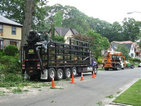 Clearview Tree Removal Nyc And Long Island Ny Tree Service Clearview