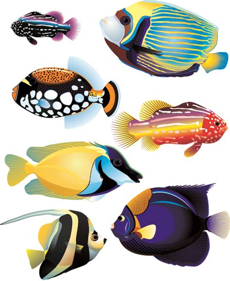Download Set of Various Fish vector 01 free download