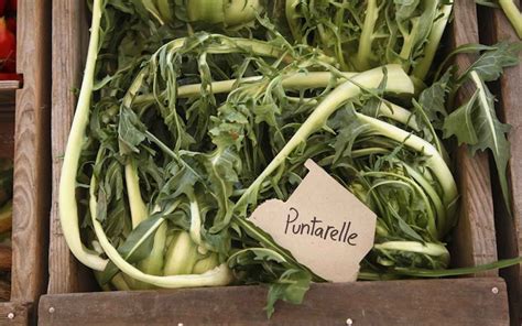 La proposta nella presente ricetta è il metodo base per insaporire l'ortaggio, utilizzato dalle massaie della capitale. Come cucinare le puntarelle: 10 ricette buonissime ...