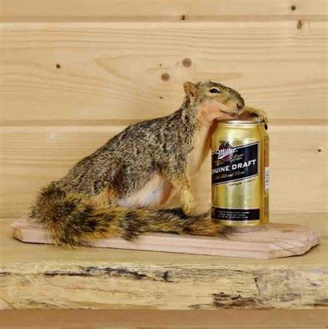 drunken squirrel taxidermy mount taxidermy taxidermy mounts funny taxidermy