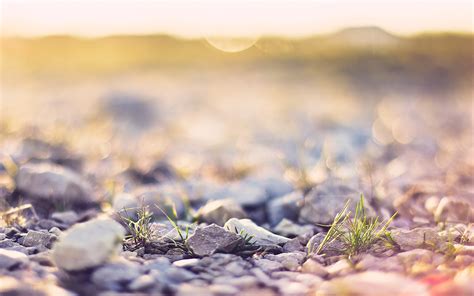 Hintergrundbilder 2560x1600 Px Bokeh Tiefenschärfe Natur Steine